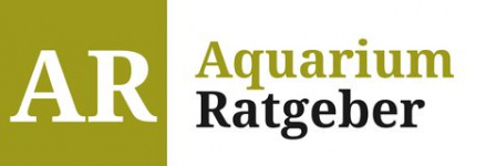 Aquarium Ratgeber